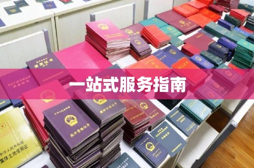 明水一站式服务指南