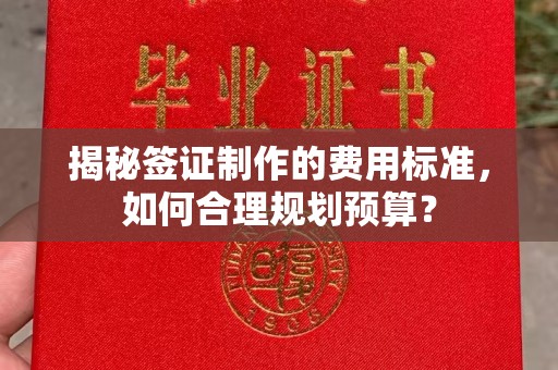 明水揭秘签证制作的费用标准，如何合理规划预算？
