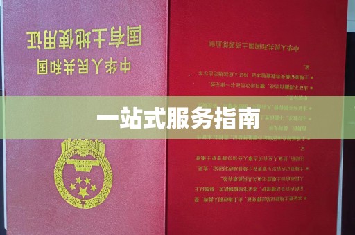 明水一站式服务指南