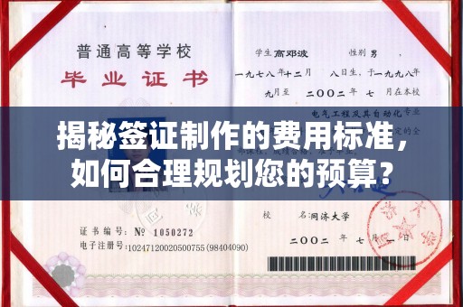 明水揭秘签证制作的费用标准，如何合理规划您的预算？