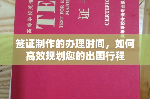 明水签证制作的办理时间，如何高效规划您的出国行程