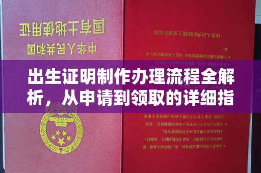 明水出生证明制作办理流程全解析，从申请到领取的详细指南