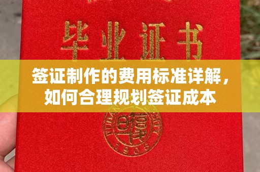 明水签证制作的费用标准详解，如何合理规划签证成本